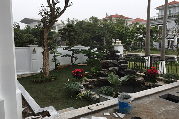 mẫu hồ cá koi tại góc sân nhà 
